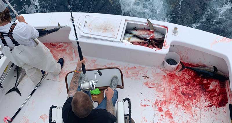 Fishing boat with blood